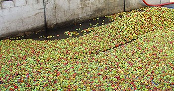 Visita Llagar Asturiano