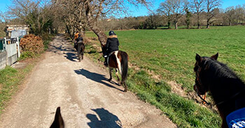 Rutas a caballo en Gijón